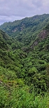 Plants: image 64 Of 208 Thumb